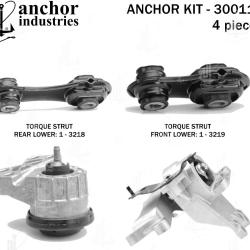 ANCHOR 300110