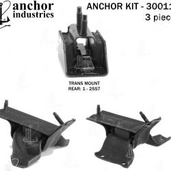 ANCHOR 300113