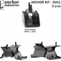 ANCHOR 300117
