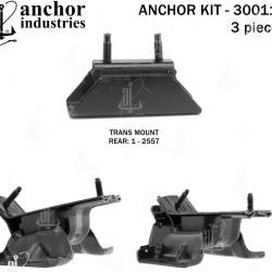 ANCHOR 300117