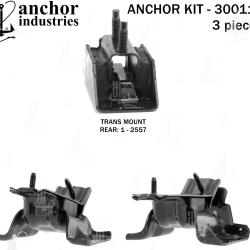 ANCHOR 300117