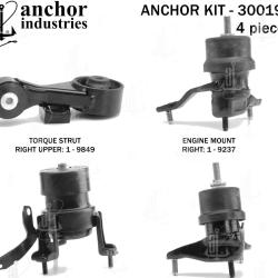 ANCHOR 300195