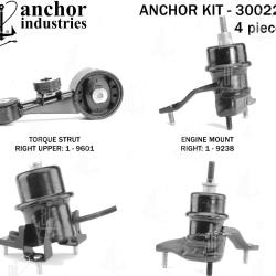ANCHOR 300229