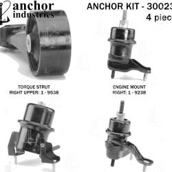 ANCHOR 300230