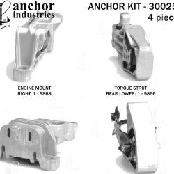 ANCHOR 300251