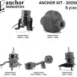 ANCHOR 300668