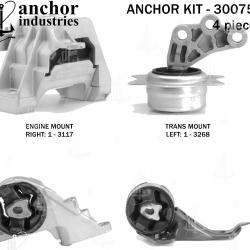 ANCHOR 300755