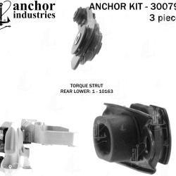 ANCHOR 300795