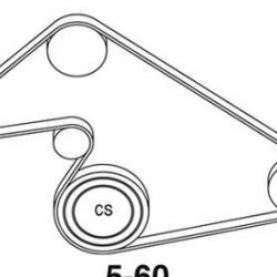 DAYCO 5060815