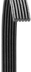 DAYCO 6060861