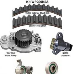 DAYCO WP226K2A