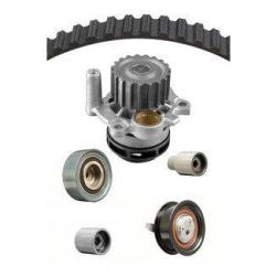 DAYCO WP301K2A