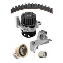 DAYCO WP306K1A