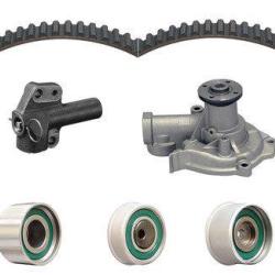 DAYCO WP313K1A