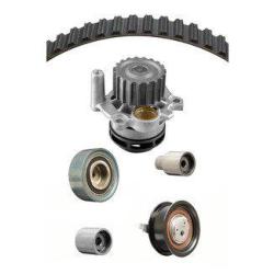 DAYCO WP321K1A