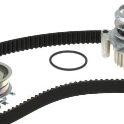 ACDELCO TCKWP296M