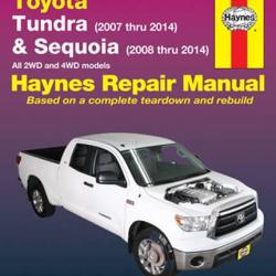 HAYNES 92179