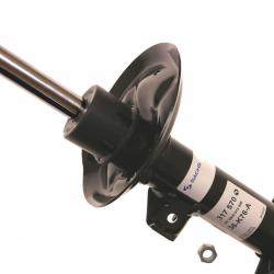 SACHS 317570