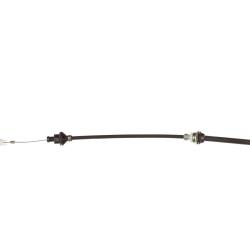 ATP Y216