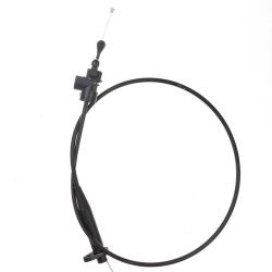 ATP Y229