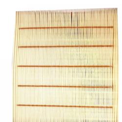 ORIGINAL ENGINE MANAGEMENT AF262