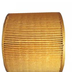 ORIGINAL ENGINE MANAGEMENT AF323