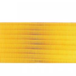 ORIGINAL ENGINE MANAGEMENT AF325