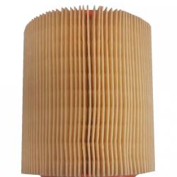 ORIGINAL ENGINE MANAGEMENT AF385