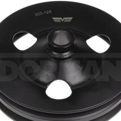 DORMAN 300125
