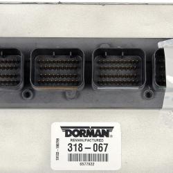 DORMAN 318067