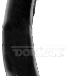 DORMAN 524181