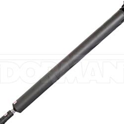 DORMAN 976200