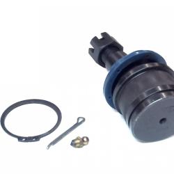 AUTO EXTRA / CHASSIS RITE AXK8609T