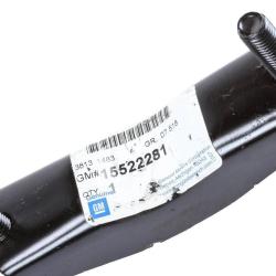GM GENUINE 15522281