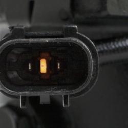 FOUR SEASONS 1177324