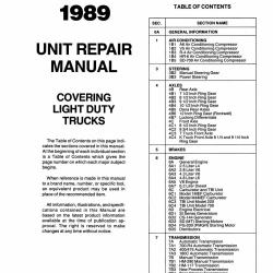 DETROIT IRON DPRGM24289TURM