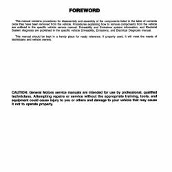 DETROIT IRON DPRGM24895TURM