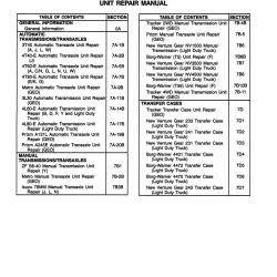DETROIT IRON DPRGM24996TURM