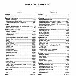 DETROIT IRON DPRGM25198TSM