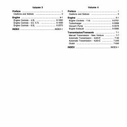 DETROIT IRON DPRGM25198TSM