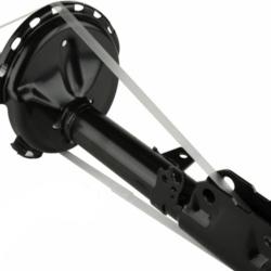 OSC S339209