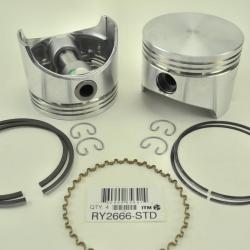 ITM ENGINE COMPONENTS RY2666