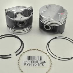 ITM ENGINE COMPONENTS RY6750