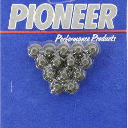 PIONEER 854013