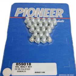 PIONEER 859018