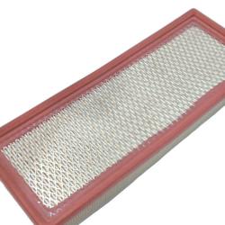 PROMOTIVE FILTERS AF4838