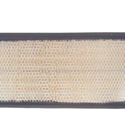 PROMOTIVE FILTERS AF5089