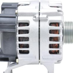 TERREPOWER 42081