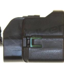 WALKER PRODUCTS 10031024