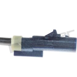 WALKER PRODUCTS 10031029